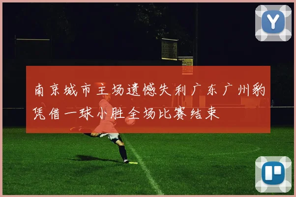 南京城市主场遗憾失利广东广州豹凭借一球小胜全场比赛结束