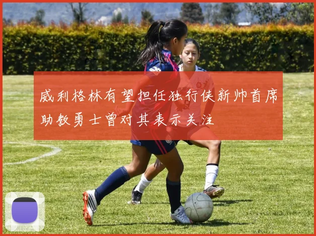 威利格林有望担任独行侠新帅首席助教勇士曾对其表示关注